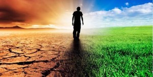 18581643_10203339472124580_8655527356120016113_n